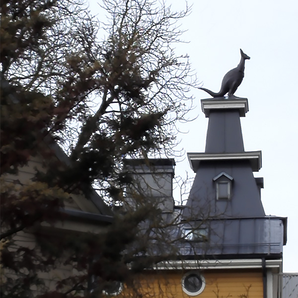 Kangaroo on a roof