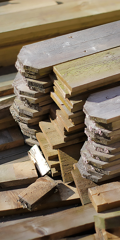 Remnants of the old fence